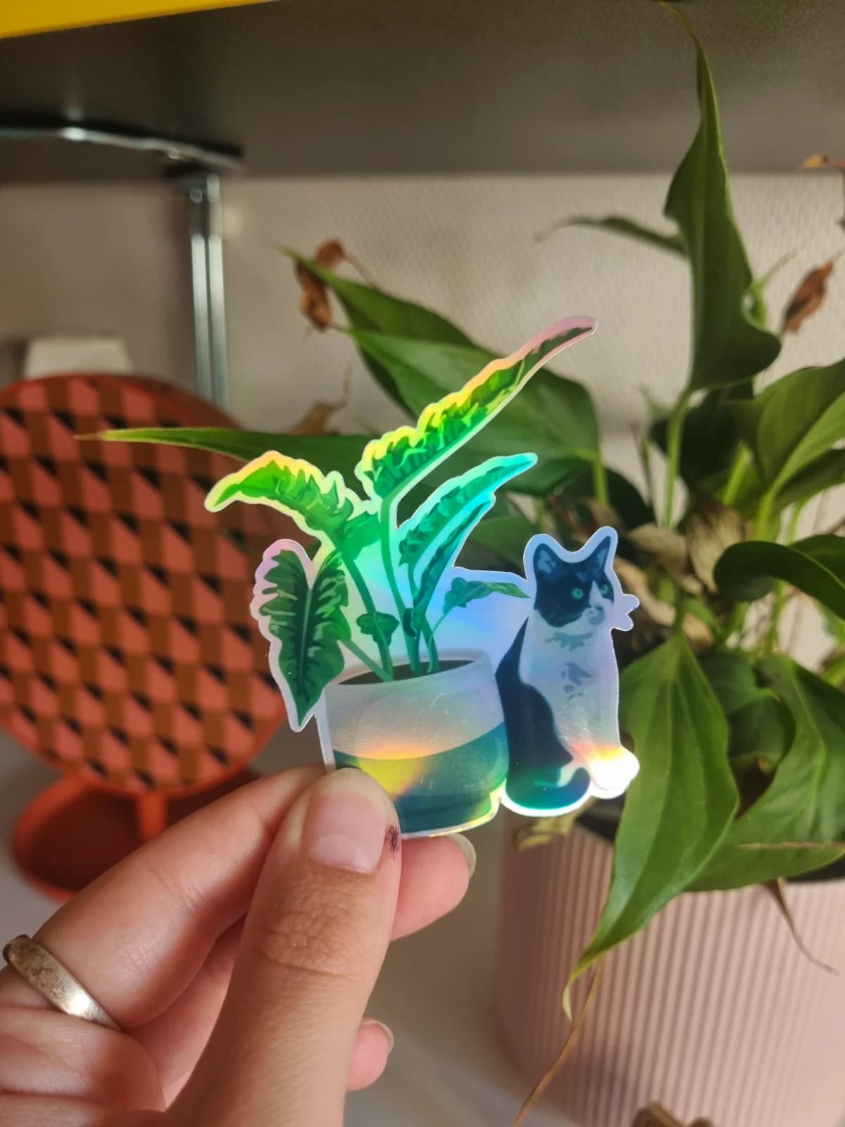Sticker holographique illustré d'un chat noir et blanc près d'une plante verte en pot tenu en main.